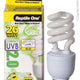 Reptile Light Bulbs image