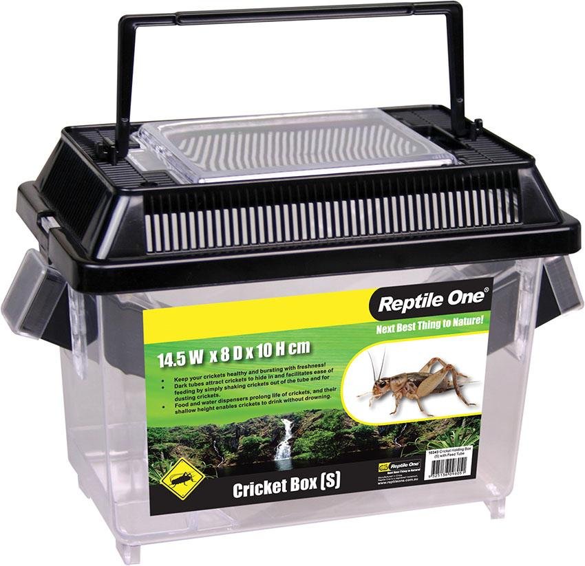 Reptile One Cricket Holding Box Woonona Petfood & Produce