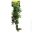 Reptile One Hanging Sativia Green 40cm - Woonona Petfood & Produce