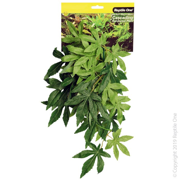 Reptile One Hanging Sativia Green 40cm - Woonona Petfood & Produce