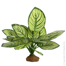 Reptile One Ornament Brandtianum With Resin Base 15x10x28cm - Woonona Petfood & Produce