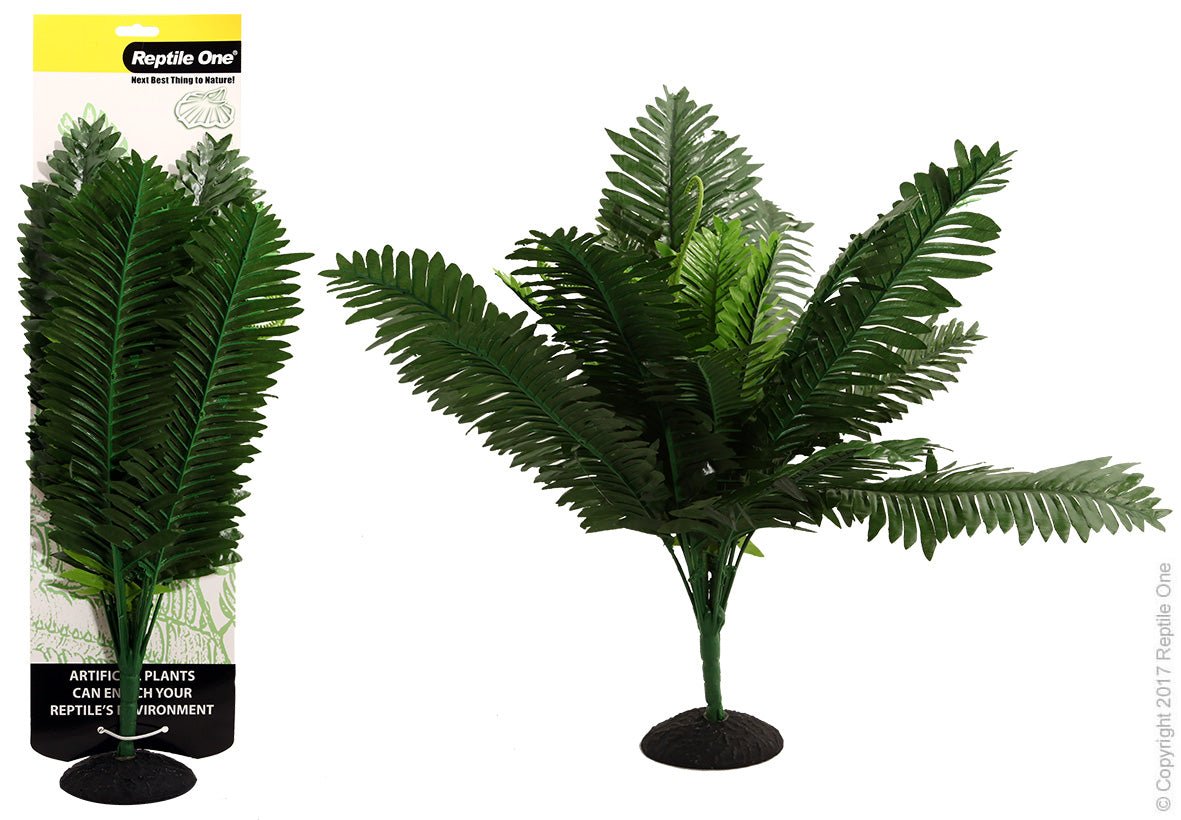 Reptile One Plant Bracken Fern 45cm - Woonona Petfood & Produce