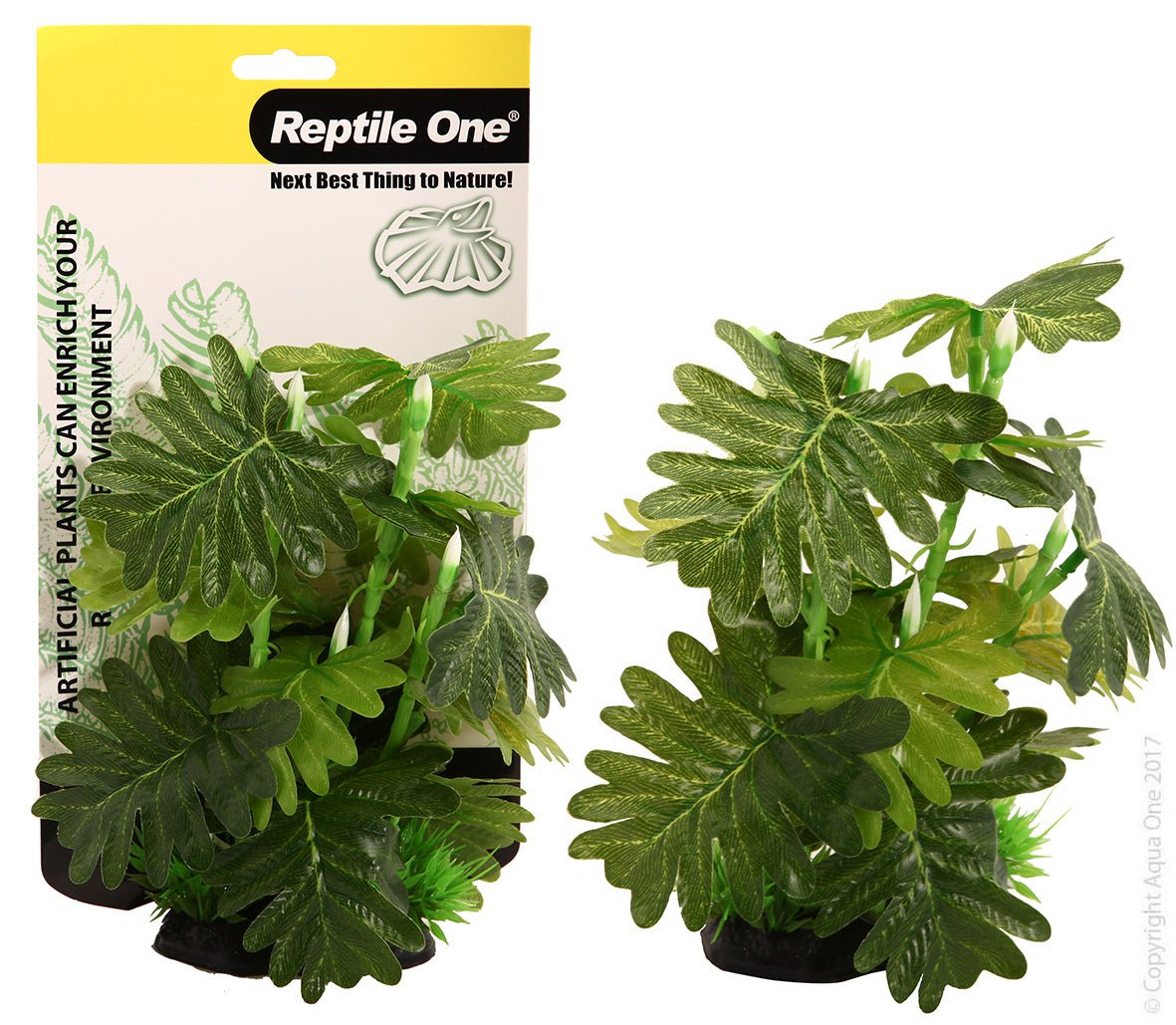 Reptile One Plant Philodendron Selloum 20cm - Woonona Petfood & Produce