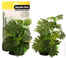 Reptile One Plant Philodendron Selloum 20cm - Woonona Petfood & Produce