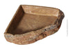 Reptile Dishes