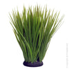 Reptile Tank Plants