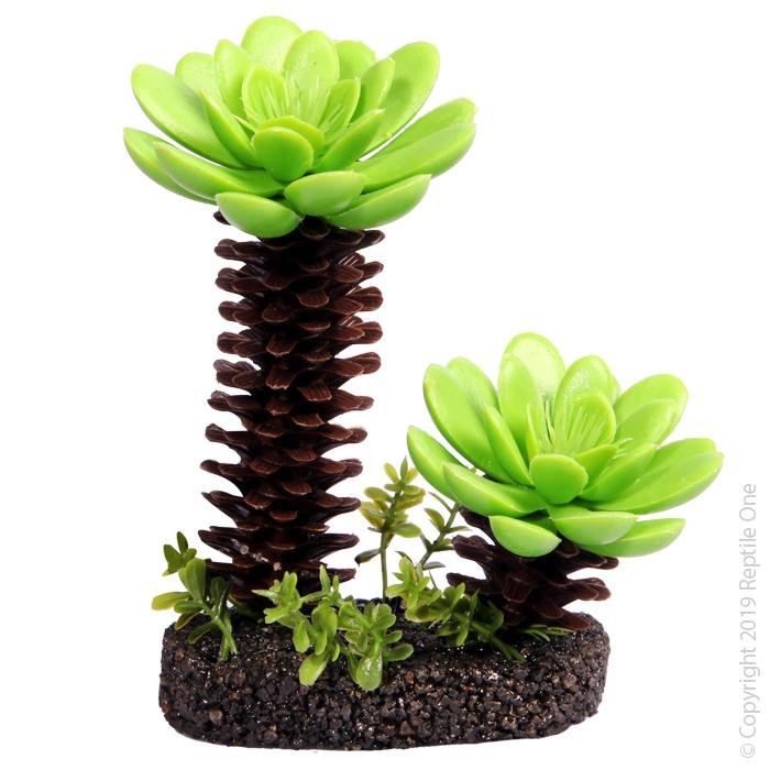 Reptile One Succulent Tree with Sand Base Medium 11x5x13cm - Woonona Petfood & Produce