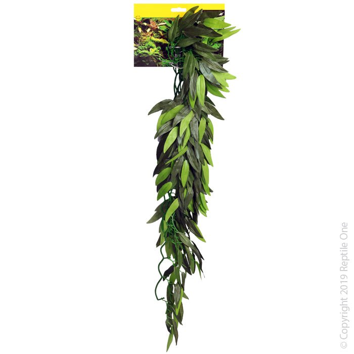 Reptile One Tradescantia Cascading Plant 40cm Green - Woonona Petfood & Produce