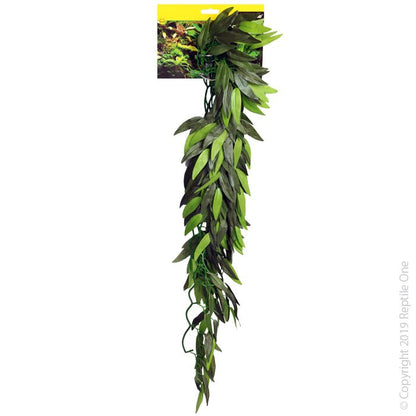 Reptile One Tradescantia Cascading Plant 40cm Green - Woonona Petfood & Produce