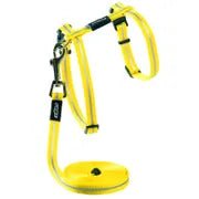 Rogz Alleycat Harness And Lead Set Dayglo Yellow Extra Small - Woonona Petfood & Produce