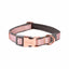 Rogz Urban Classic Collar Pink Blush - Woonona Petfood & Produce