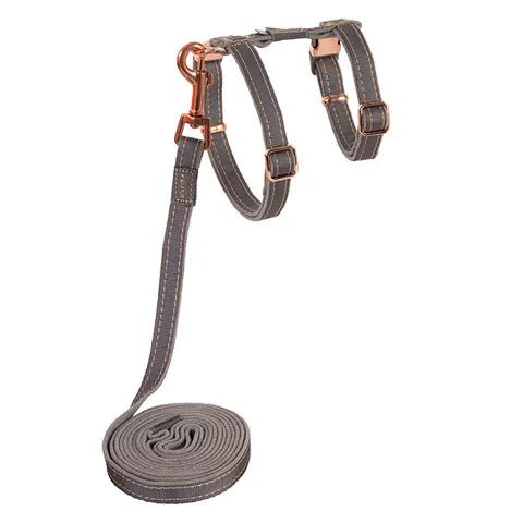 Rogz Urbancat Harness and Lead Set Small - Woonona Petfood & Produce