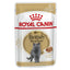 Royal Canin Cat Wet Food Pouch British Shorthair 85g - Woonona Petfood & Produce