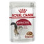 Royal Canin Cat Wet Food Pouches Instinctive Gravy 12x85g - Woonona Petfood & Produce