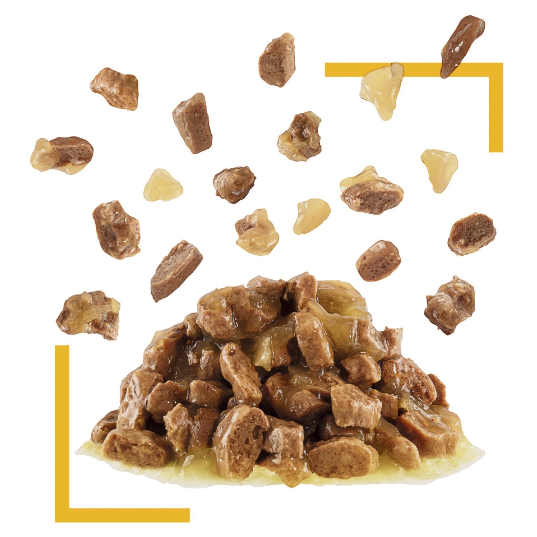 Royal Canin Cat Wet Food Pouches Sensory Taste Jelly 12x85g - Woonona Petfood & Produce