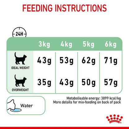 Royal Canin Dry Cat Food Digestive Care - Woonona Petfood & Produce