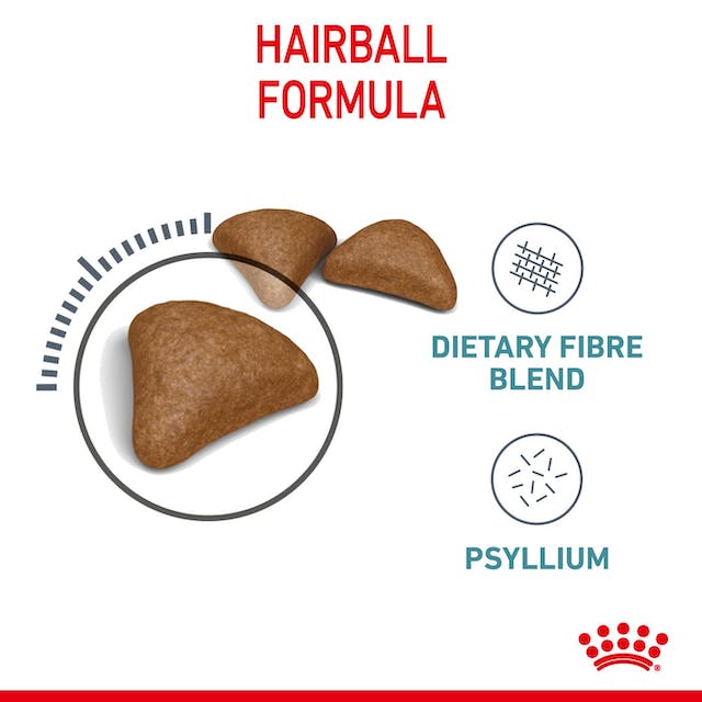 Royal Canin Dry Cat Food Hairball Care - Woonona Petfood & Produce