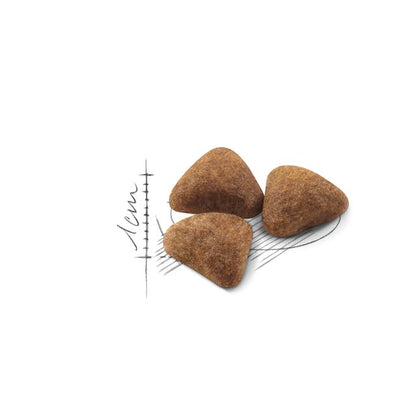 Royal Canin Dry Cat Food Indoor Adult - Woonona Petfood & Produce