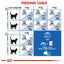 Royal Canin Dry Cat Food Indoor Mature +7 - Woonona Petfood & Produce