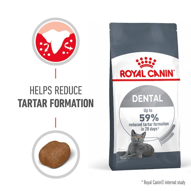 Royal Canin Feline Dental Care nourriture sèche pour chat