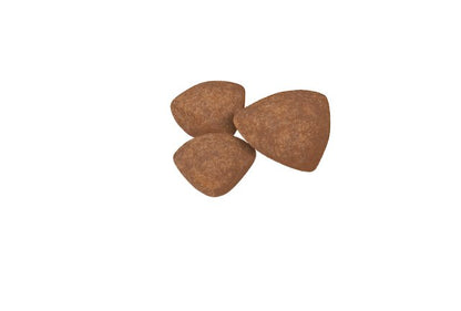 Royal Canin Dry Dog Food Mini Breed Puppy - Woonona Petfood & Produce