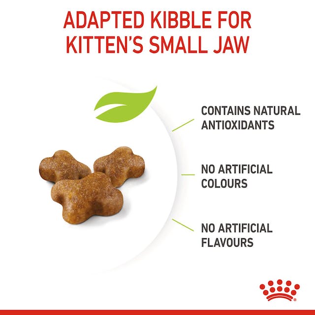 Royal Canin Dry Kitten Food - Woonona Petfood & Produce