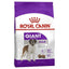 Royal Canin Giant Adult 15kg - Woonona Petfood & Produce