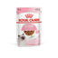 Royal Canin Wet Cat Food Kitten Gravy 12x85g - Woonona Petfood & Produce