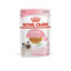 Royal Canin Wet Cat Food Kitten Jelly 12x85g - Woonona Petfood & Produce