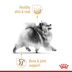 Royal Canin Wet Dog Food Pomeranian Adult 12x85g - Woonona Petfood & Produce