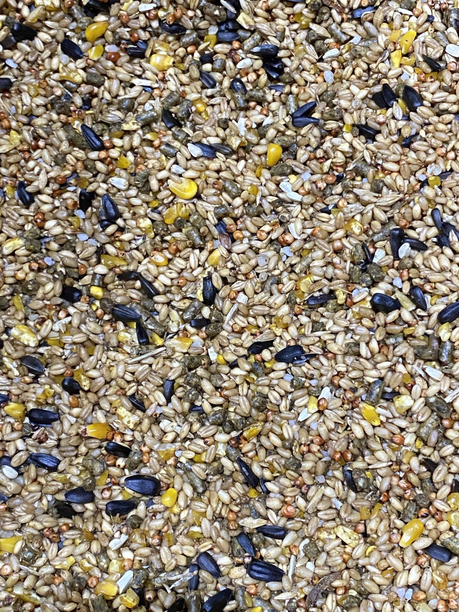 Poultry Mixes – Woonona Petfoods