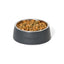 Snooza Concrete Pet Bowl Medium - Woonona Petfood & Produce