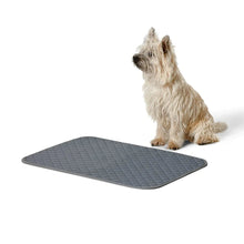 Snooza Washable Pee Pad Dark Grey Small - Woonona Petfood & Produce