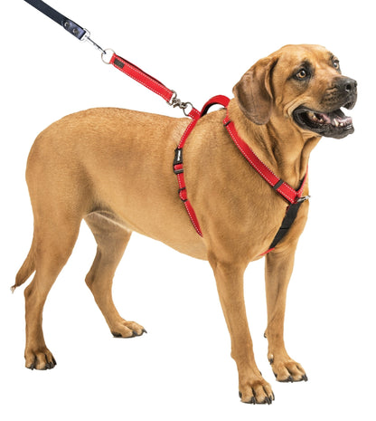 Sporn Ultimate Contol Harness Black - Woonona Petfood & Produce