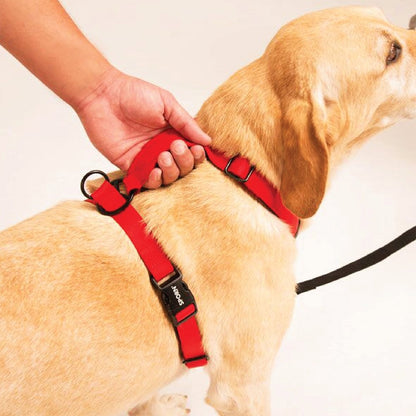 Sporn Ultimate Contol Harness Black - Woonona Petfood & Produce