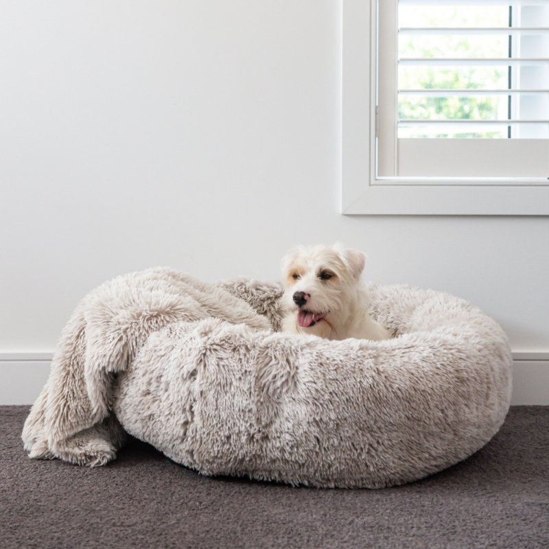 Superior Pet Bed Curl Up Cloud Calming Bed Aspen - Woonona Petfood & Produce