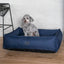 Superior Pet Bed Ortho Dog Lounger Ripstop Bondi Blue Mini - Woonona Petfood & Produce