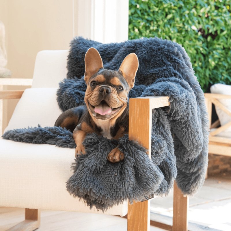 Superior Pet Calming Blanket Tranquil Grey - Woonona Petfood & Produce