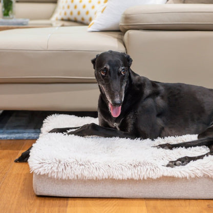Superior Pet Ortho Calming Mat Aspen Faux Fur Water Resistant - Woonona Petfood & Produce