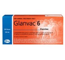 Vaccination 6 Glanvac 100ml - Woonona Petfood & Produce