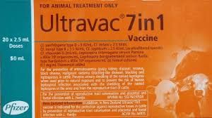 Vaccination 7 In 1 Ultravac - Woonona Petfood & Produce