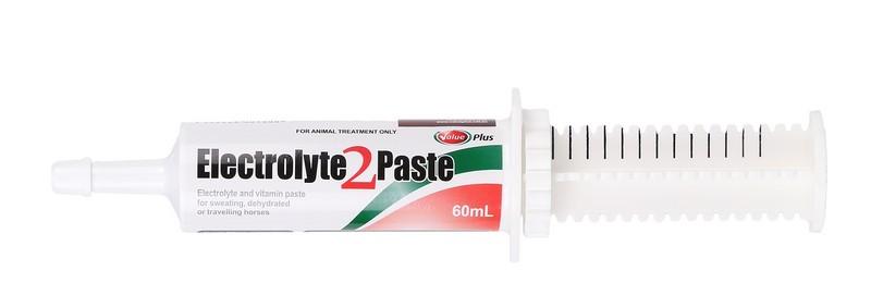 Value Plus Electrolyte 2 Paste for Horses 60ml - Woonona Petfood & Produce