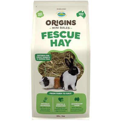 Vetafarm Origins Fescue Hay Mini Bale - Woonona Petfood & Produce