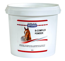 Vetsense Gen Packs B Complex Powder - Woonona Petfood & Produce