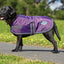 Weatherbeeta Dog Coat Windbreaker Purple/Black - Woonona Petfood & Produce