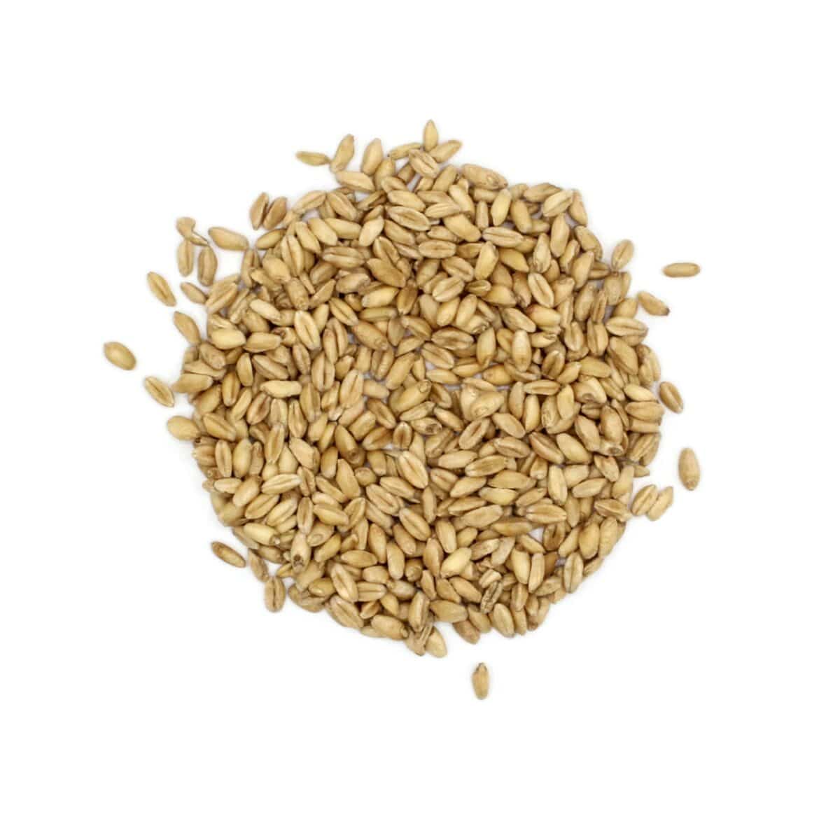 Wheat Hard 20kg Cowra - Woonona Petfood & Produce