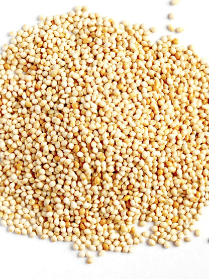 White French Millet - Woonona Petfood & Produce