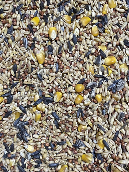 Wild Bird Mix Avigrain - Woonona Petfood & Produce