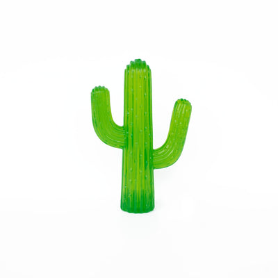 Zippy Paws Tuff Plastic Cactus Dog Toy - Woonona Petfood & Produce